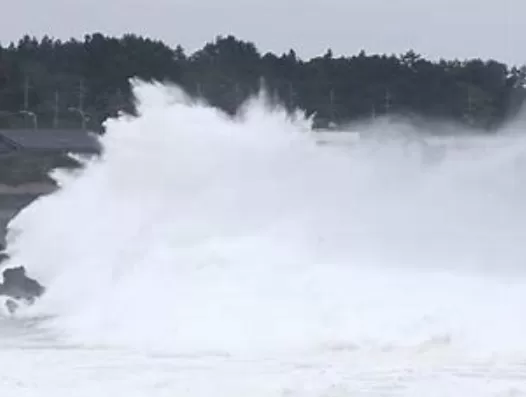 South Korea Relocates Thousands of Scouts to Safer Areas as Typhoon Approaches