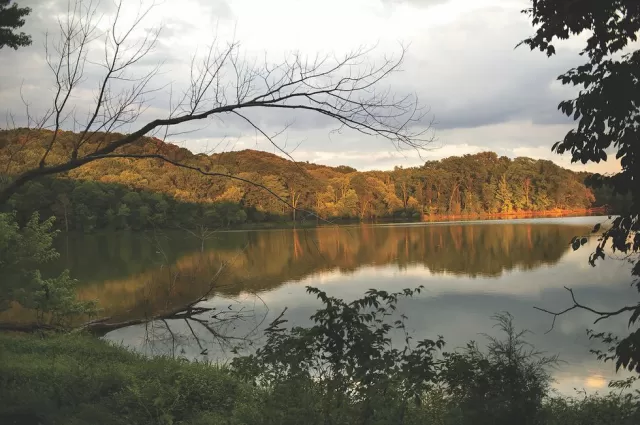 Escape the Bustle of Downtown Nashville at Radnor Lake
