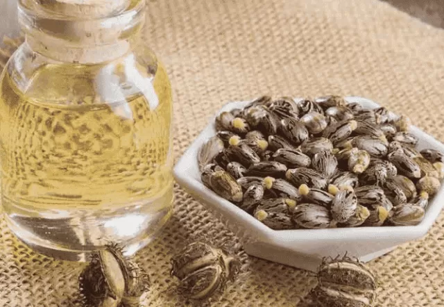 The image of Castor Oil: Uses, Benefits, and Risks for Dark Circles